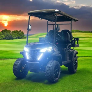 Dynamic GT4 Lithium Powered Golf Cart - Impact Powersports - Rockford, Michigan