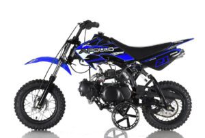 Cougar Cycle Apollo DB-21 70cc Youth Dirt Bike | Impact Powersports | Rockford, Michigan