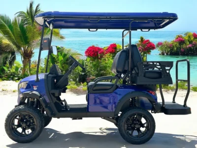 Dynamic GT4 Lithium Powered Golf Cart - Impact Powersports - Rockford, Michigan