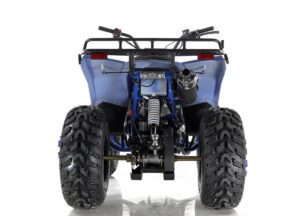 Cougar Cycle Apollo Commander 200CC Youth ATV | Impact Powersports | Rockford, Michigan