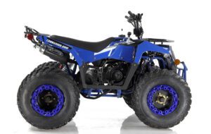 Cougar Cycle Apollo Commander 200CC Youth ATV | Impact Powersports | Rockford, Michigan