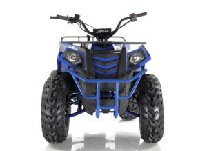 Cougar Cycle Apollo Commander 200CC Youth ATV | Impact Powersports | Rockford, Michigan