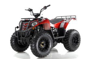 Cougar Cycle Apollo Commander 200CC Youth ATV | Impact Powersports | Rockford, Michigan