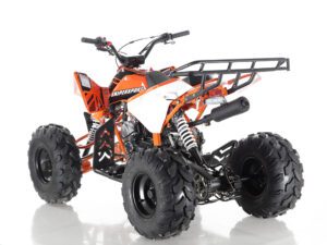 Cougar Cycle Apollo Sniper 125CC Youth ATV | Impact Powersports | Rockford, Michigan